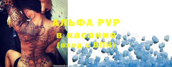 СК Алексин