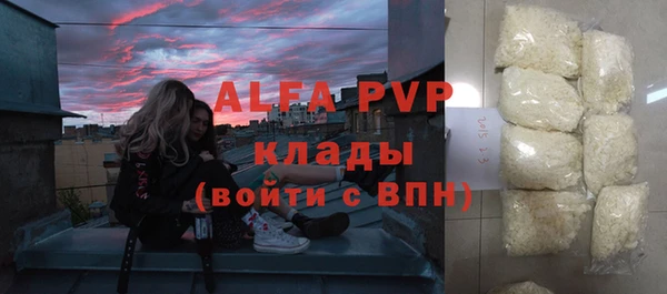 СК Алексин
