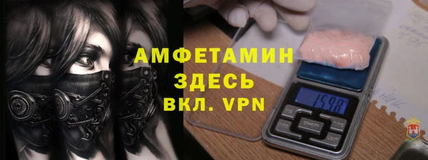 СК Алексин